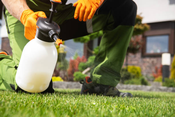 Best Local Pest Control Services  in Yelm, WA