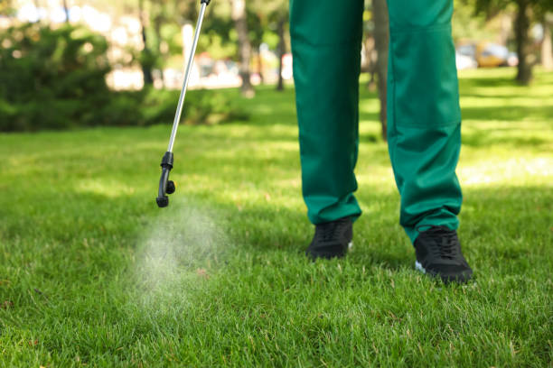 Best Pest Prevention Services  in Yelm, WA