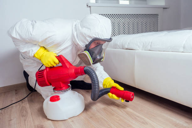 Best Flea Control Services  in Yelm, WA