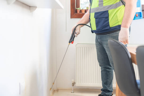 Best Rat Extermination Near Me  in Yelm, WA