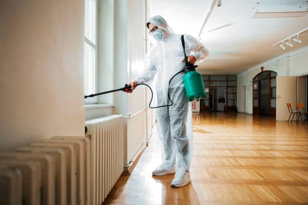 Best Best Pest Control Companies  in Yelm, WA